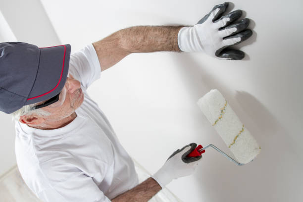 Best Real Estate Mold Inspection  in Martindale, TX