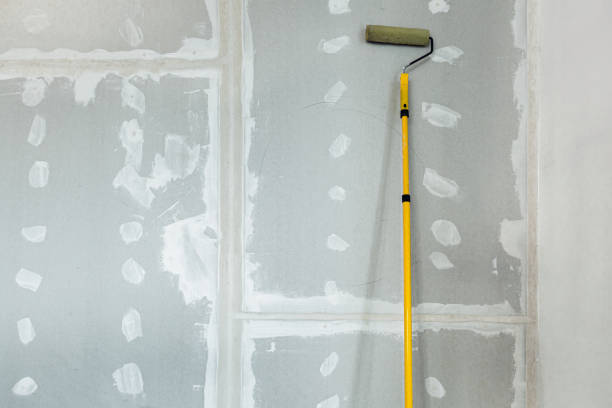 Trusted Martindale, TX Mold Removal Experts