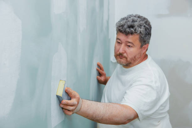 Best Crawl Space Mold Remediation  in Martindale, TX