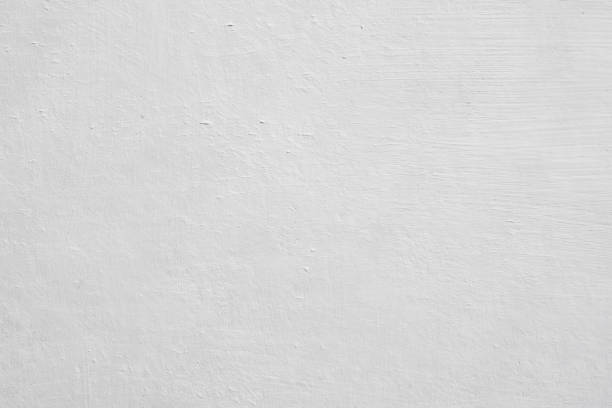 Best Mold Damage Restoration  in Martindale, TX