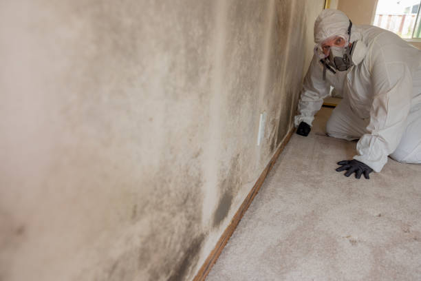 Best Mold Removal for HVAC Installations  in Martindale, TX