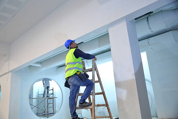 Best Black Mold Removal  in Martindale, TX