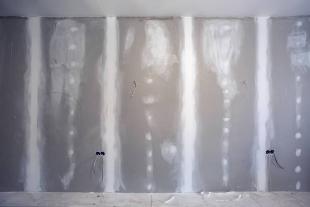 Best Industrial Mold Remediation  in Martindale, TX